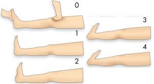 &iquest;CREES QUE TIENES SUFICIENTE FLEXIBILIDAD? EVALUARLO VOSOTROS MISMOS CON ESTE TEST
